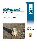 R0231 MATTE WHITE INKJET PHOTO PAPER 420X297 1 POLA